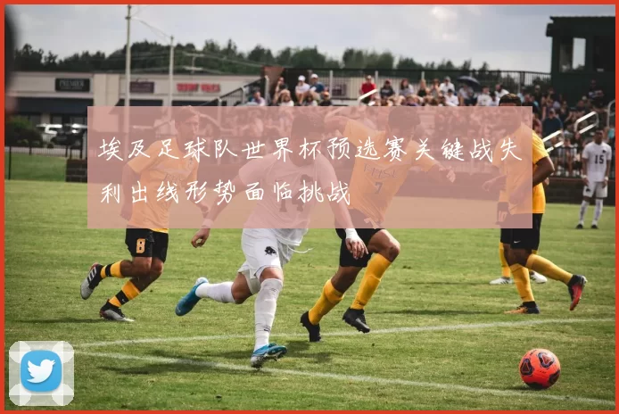 埃及足球队世界杯预选赛关键战失利出线形势面临挑战